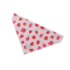 Strawberry Fields | Dog Bandana