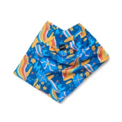 Brave | Sun Tour -Accessories Sale Store WT Brave 2 d22aebf4 e46b 4307 bc97 40c76cd423da