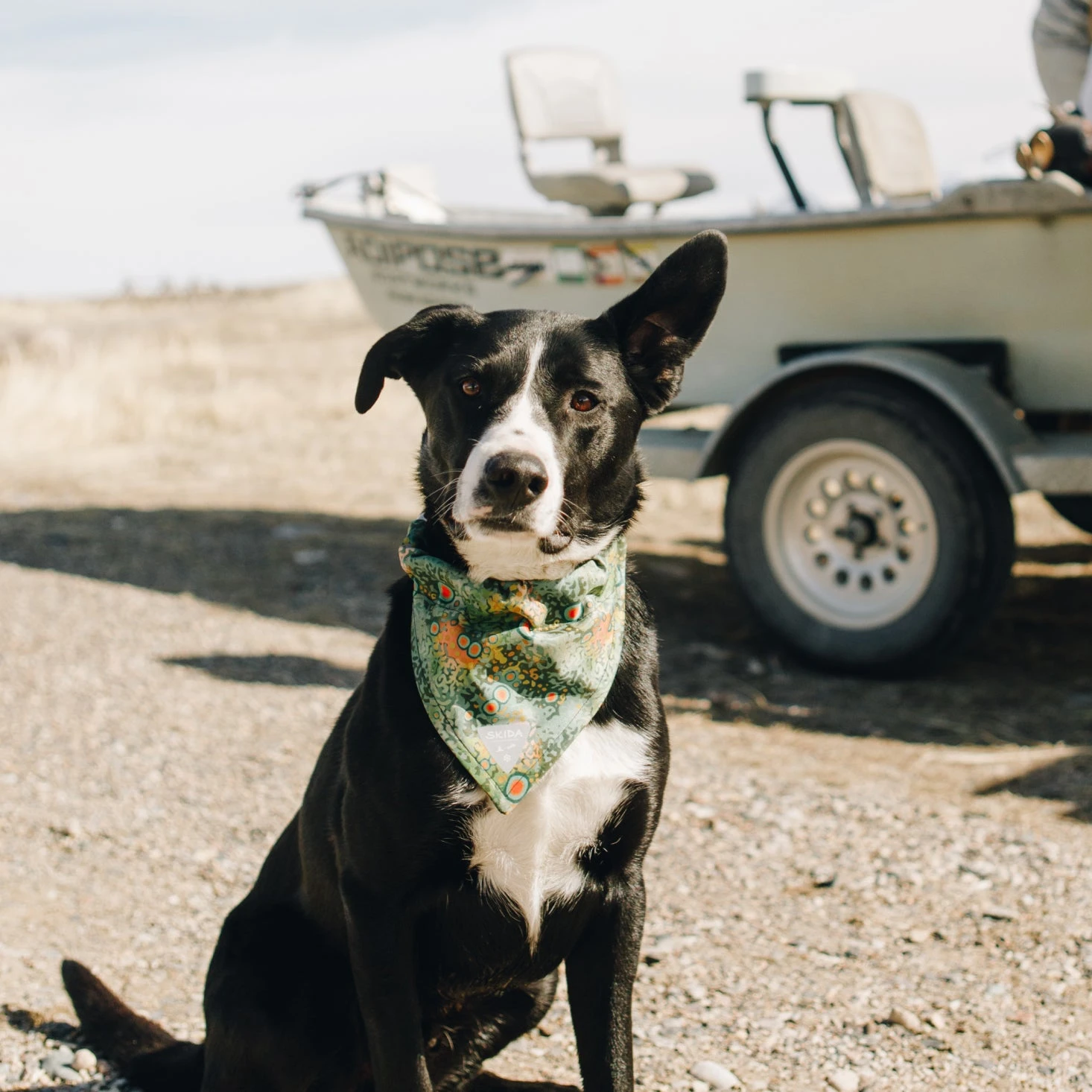 Battenkill | Dog Bandana 3 Battenkill | Dog Bandana
